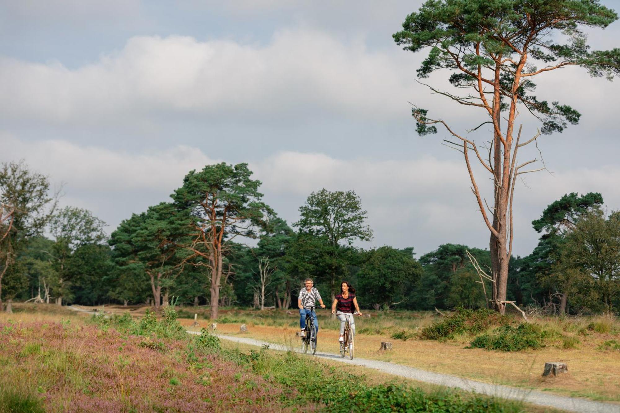 De Oringer Marke & Stee By Flow 3* Odoorn